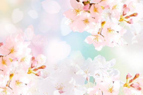 保育園の入園間近でも大丈夫！必要なものを徹底解説